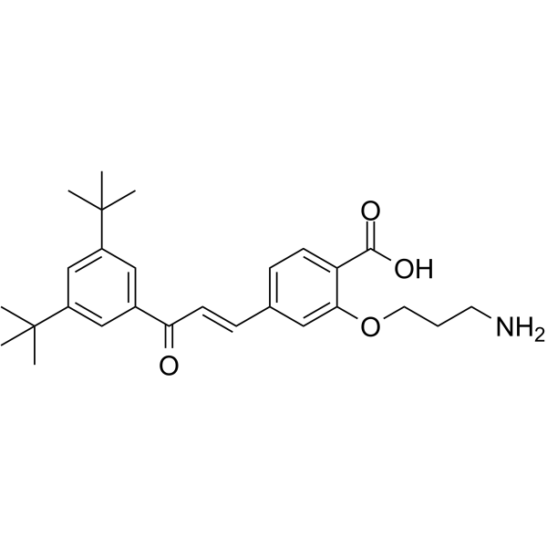 Ch55-O-C3-NH2 (RAR ligand 1) 144298-98-6